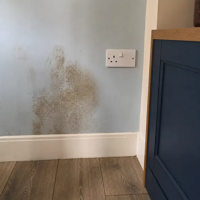 Damp patch and mould on a wall beside a double socket