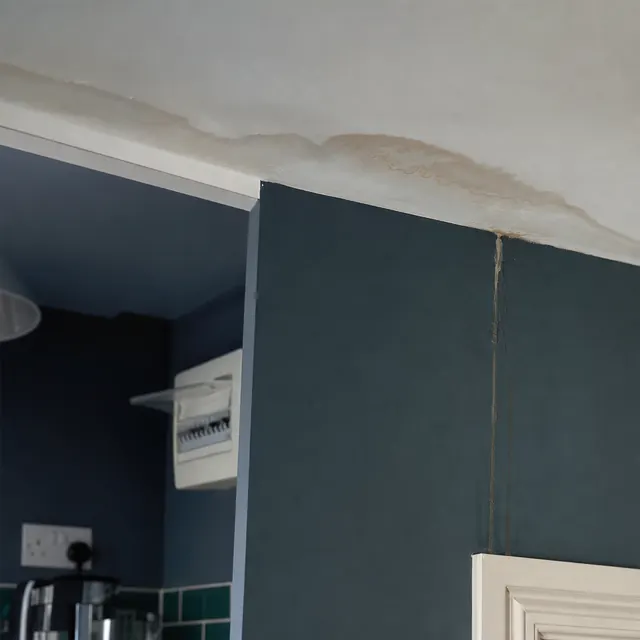 Water staining spreading across a ceiling above a consumer unit