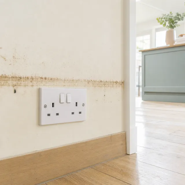 Low wall socket with a flood tide mark above it